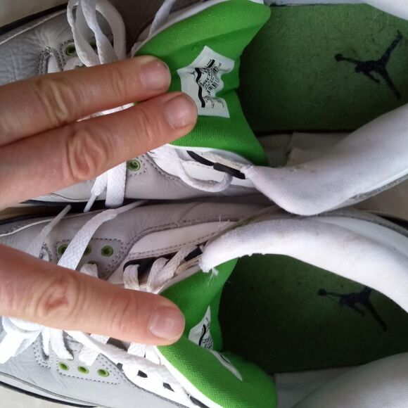 Nike Air Jordan 3 Retro Chlorophyll Men\'s sz. 10 main image 8